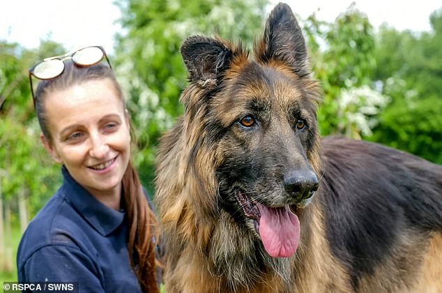 Sophie Major, an animal care assistant at the Radcliffe Animal Centre in Nottingham, pictured  with Bella now