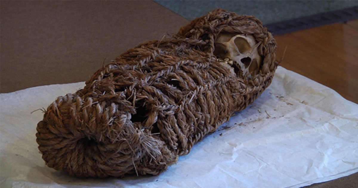 Peruvian Mummy Taken to Children's Hospital for Revealing X-rays | Ancient  Origins