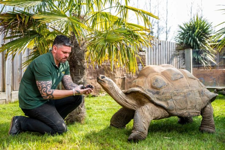 Rùa khổng lồ Galapagos lần đầu làm cha ở tuổi 70 - Tạp chí điện tử Bảo vệ Rừng và Môi trường