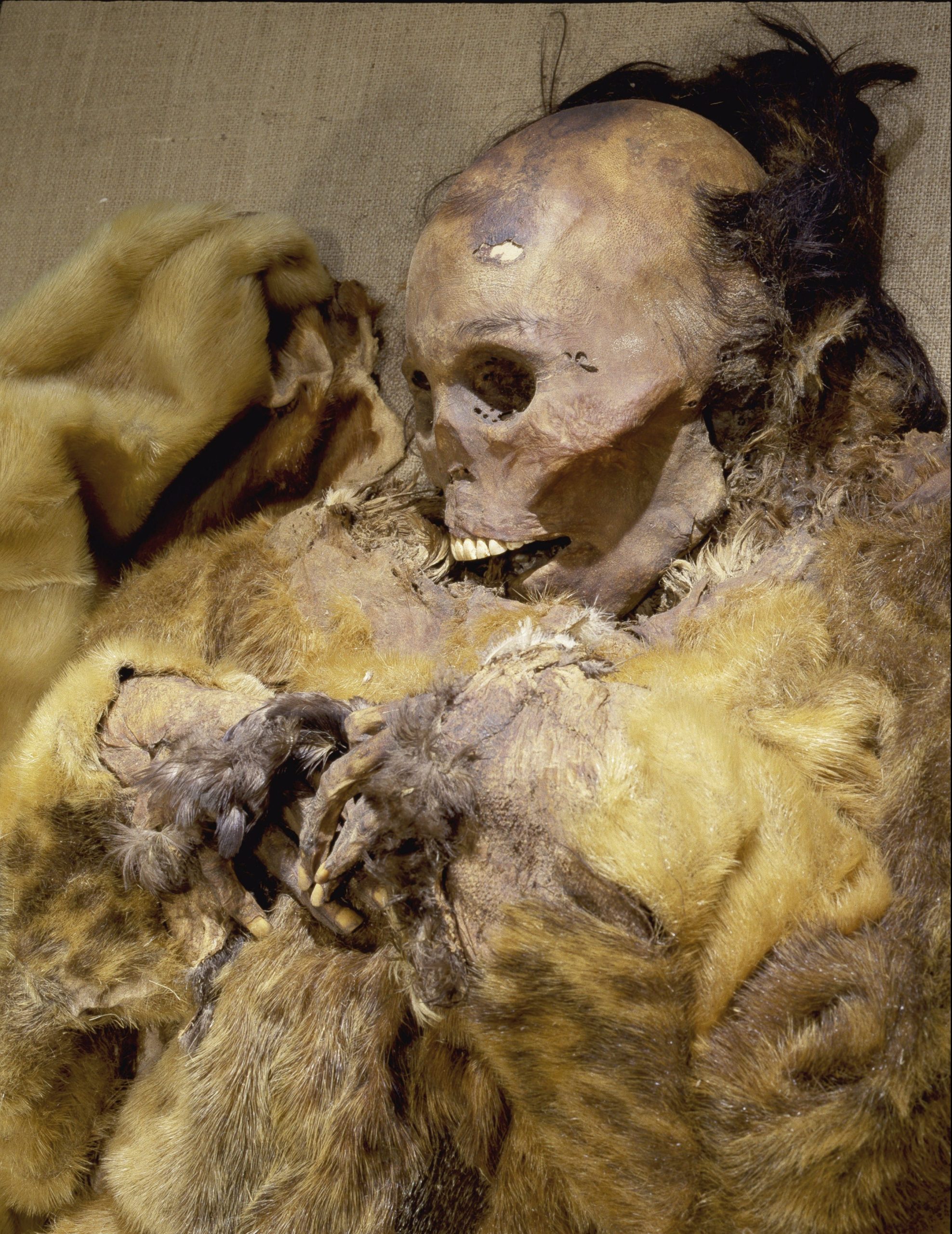 Eerie freeze-dried bodies including baby that was buried alive 500 years  ago are 'North America's best preserved mummies' | The Sun