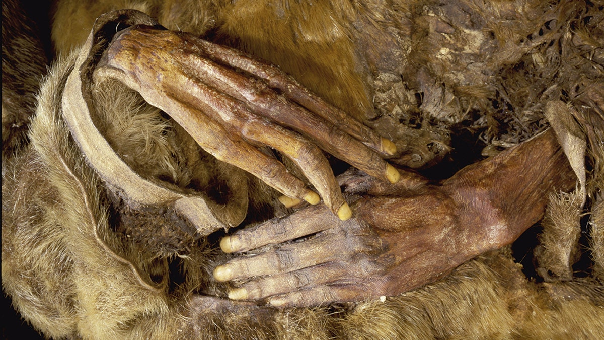 500-year-old frozen bodies are 'North America's best preserved mummies' |  Fox News