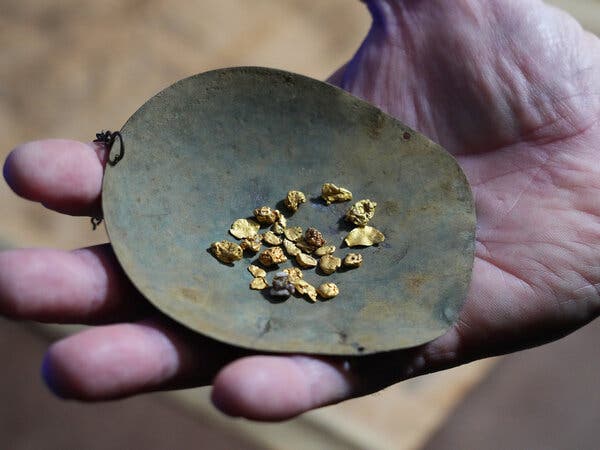 A hand holds a small tray that contains gold pieces.