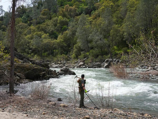 A man stands near a river holding prospecting equipment.