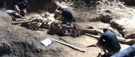 Prehistoric Giant Skeletons Of A Human And A Snake Discovered In ...