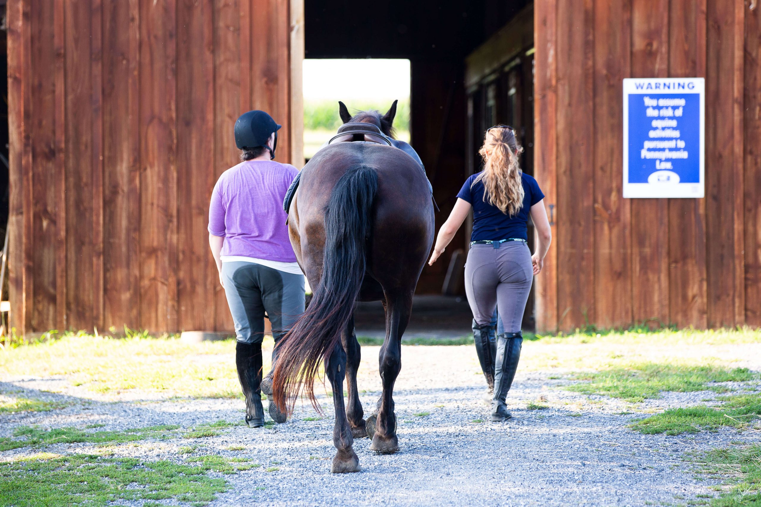 5 Reasons Why Horses Behave Differently for Different People - HorseClass