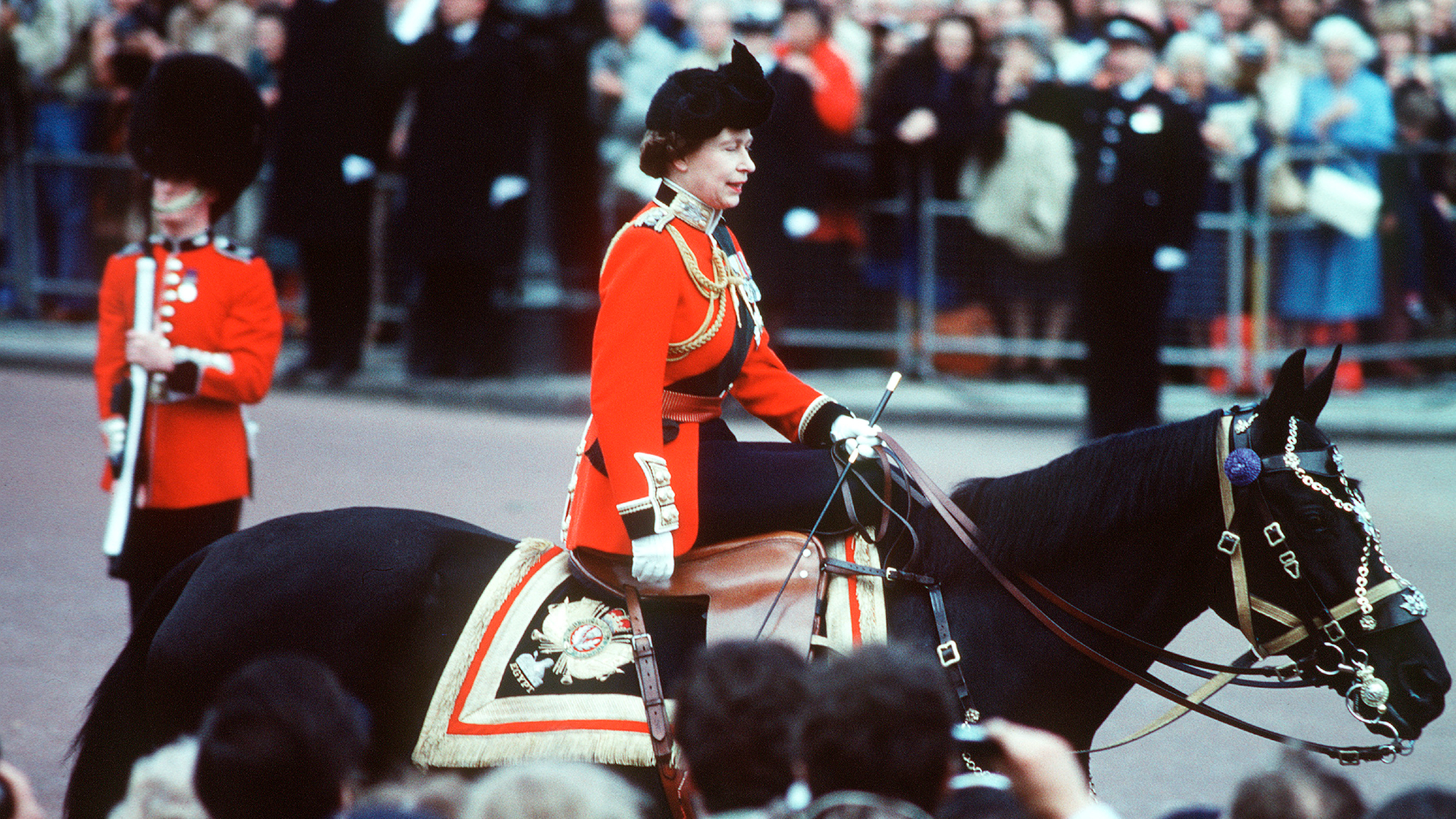 The unbreakable bond between the Queen and her Canadian steed Burmese | Watch News Videos Online