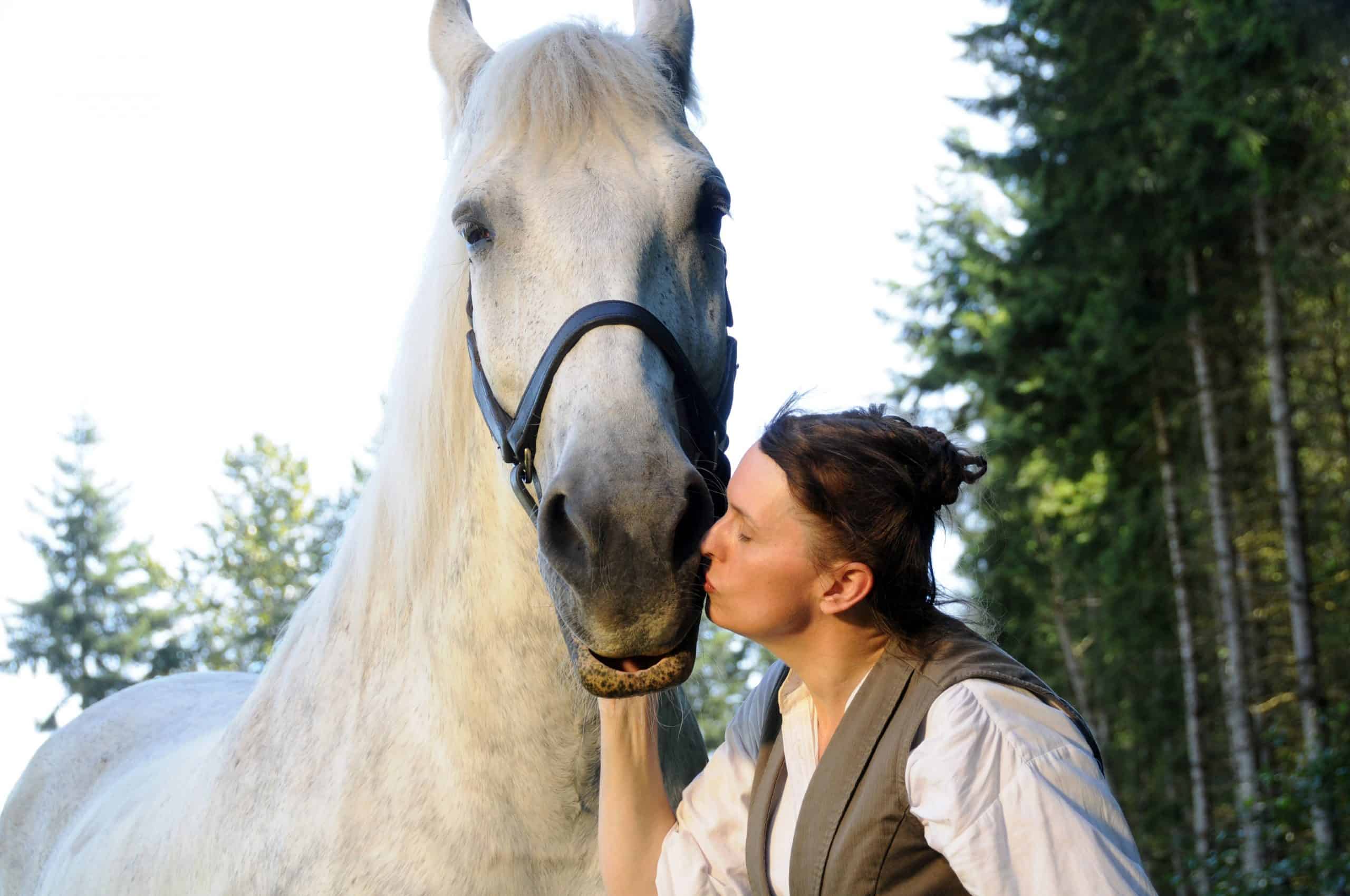 Percherons: The Fascinating Backstory Behind Our Favorite Cold-Blooded Giants