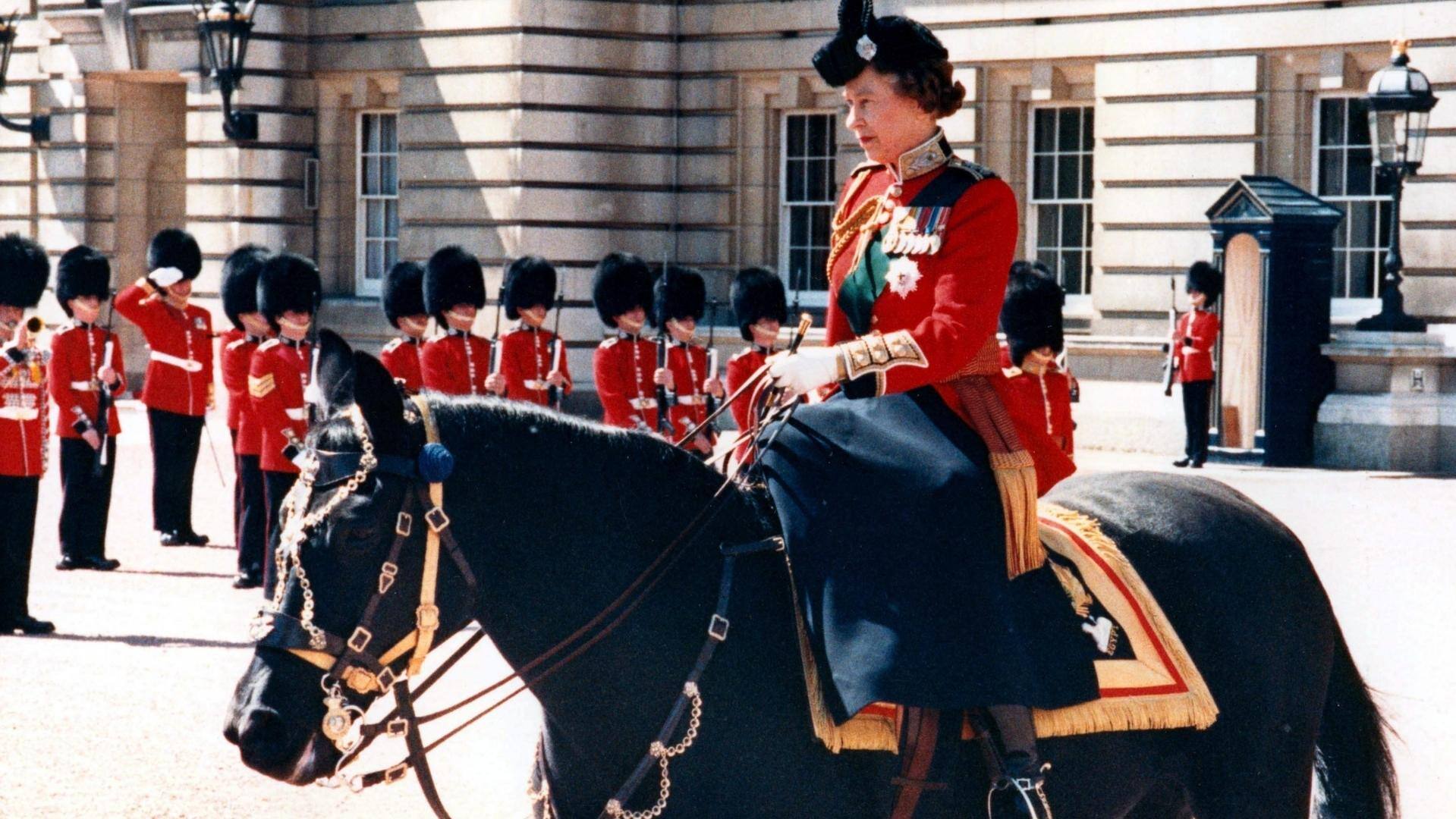 Queen Elizabeth's favourite horse was a Saskatchewan thoroughbred | CBC.ca