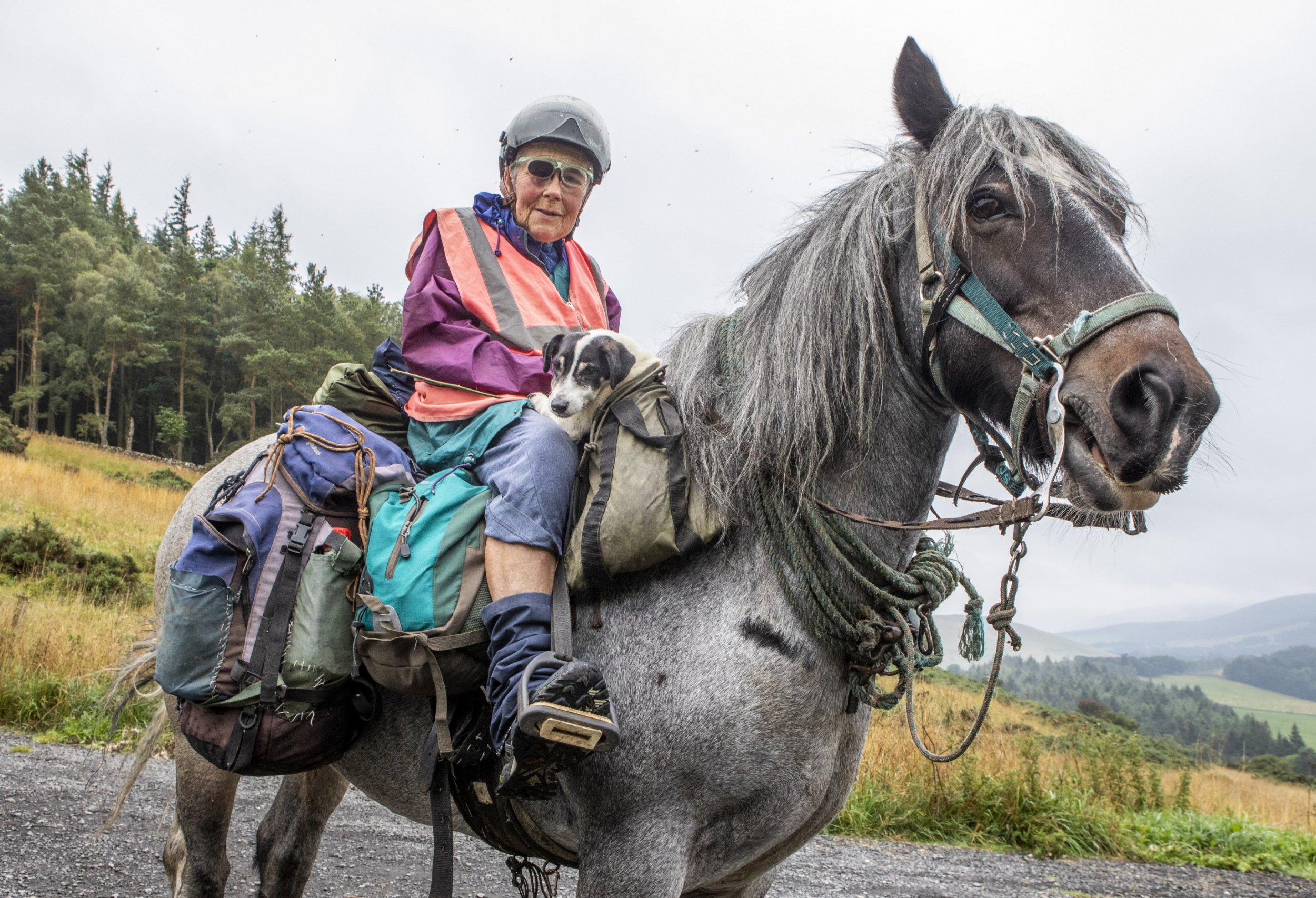 80-year-old woman sets off on yearly 600-mile pony trek from Hexham to Inverness | Metro News